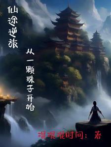 仙途传奇 小说